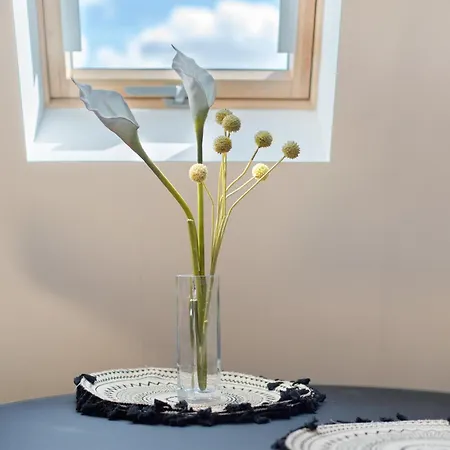 Scheune Apartment *